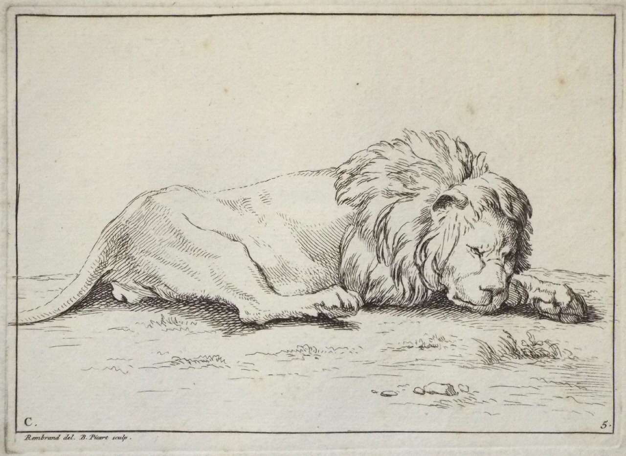 Etching - C. 5. Lion - Picart